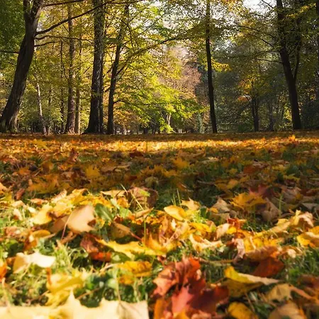 Apart-club Zora 4* Bardejovské Kúpele